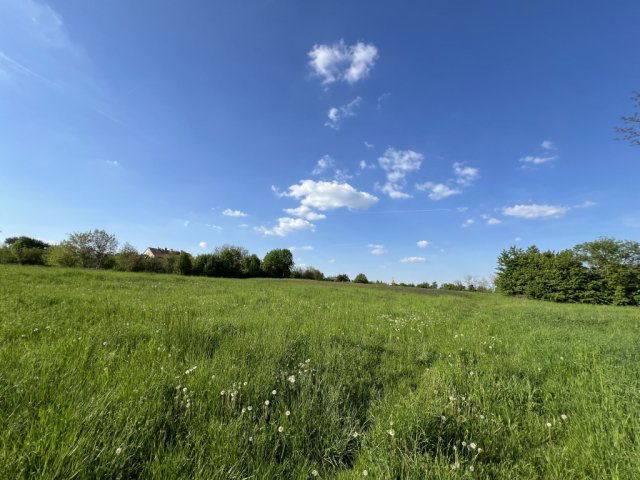 Eladó mezogazdasagi ingatlan, Dudaron 4.9 M Ft