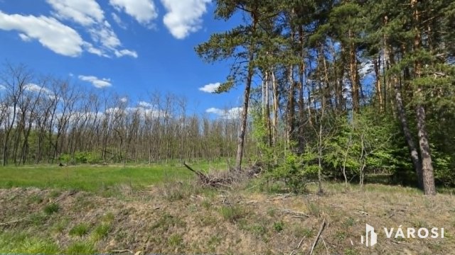 Eladó mezogazdasagi ingatlan, Debrecenben 7.99 M Ft