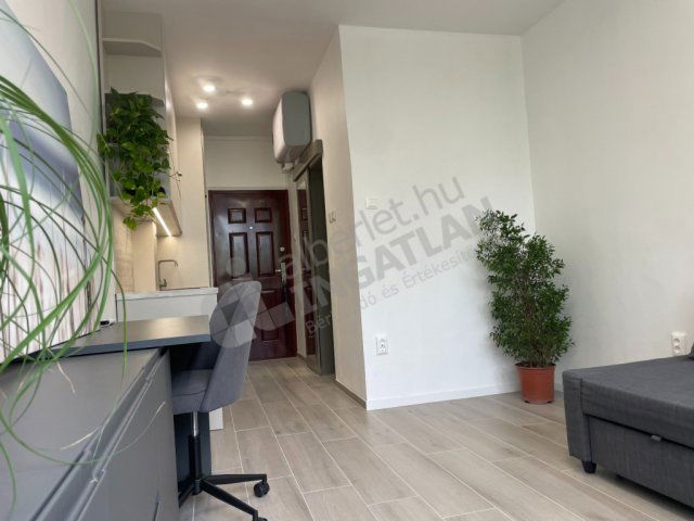 Kiadó panellakás, albérlet, XIX. kerületben, Templom téren
