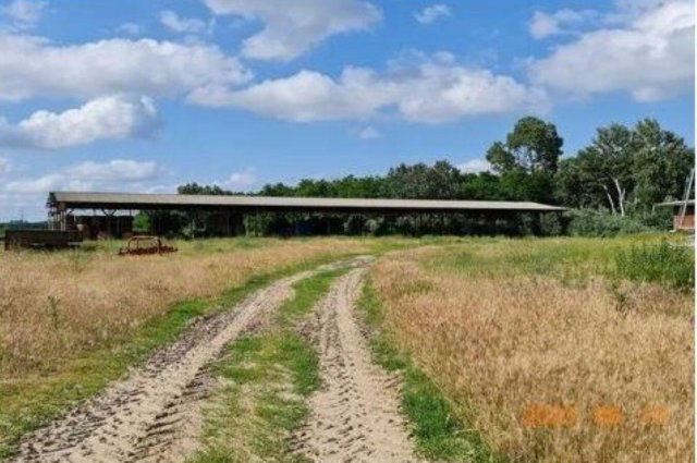 Eladó mezogazdasagi ingatlan, Mikepércsen 570 M Ft