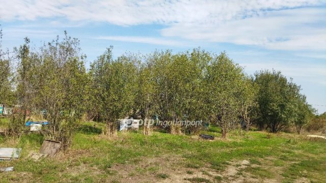 Eladó telek, Mesterszálláson 3.99 M Ft / költözzbe.hu