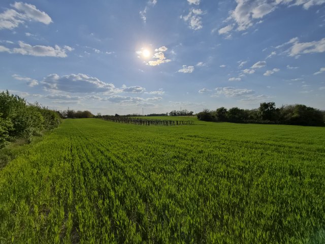 Eladó telek, Érden 26 M Ft / költözzbe.hu