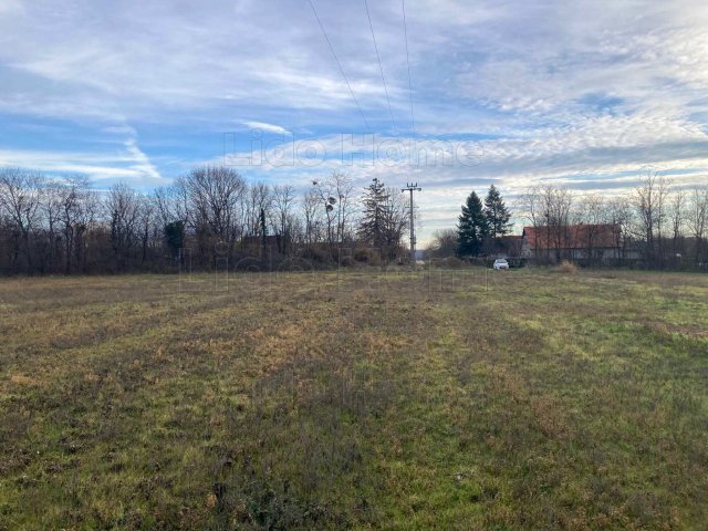 Eladó telek, Bálványoson 2.84 M Ft / költözzbe.hu