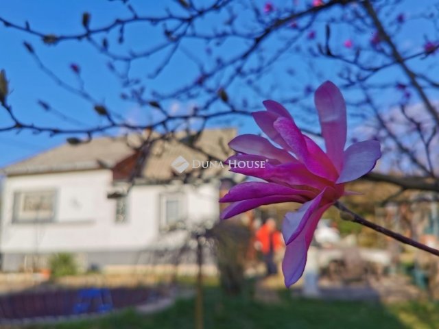 Eladó családi ház, Budakeszin 71.573 M Ft, 3 szobás