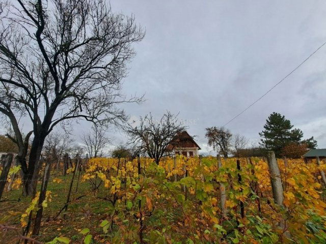 Eladó nyaraló, Báron 17.5 M Ft, 2 szobás / költözzbe.hu