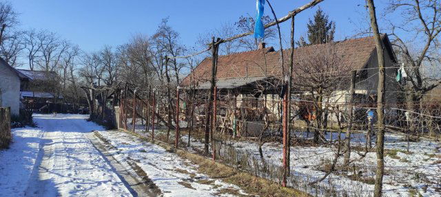 Eladó mezogazdasagi ingatlan, Szigethalmon 69.9 M Ft, 2 szobás