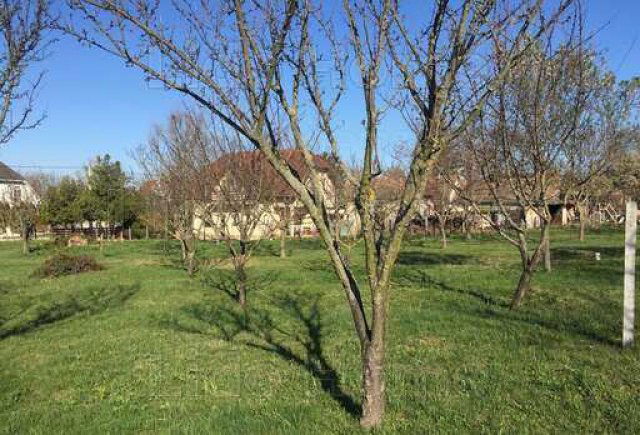 Eladó családi ház, Siófokon 99 M Ft, 3 szobás