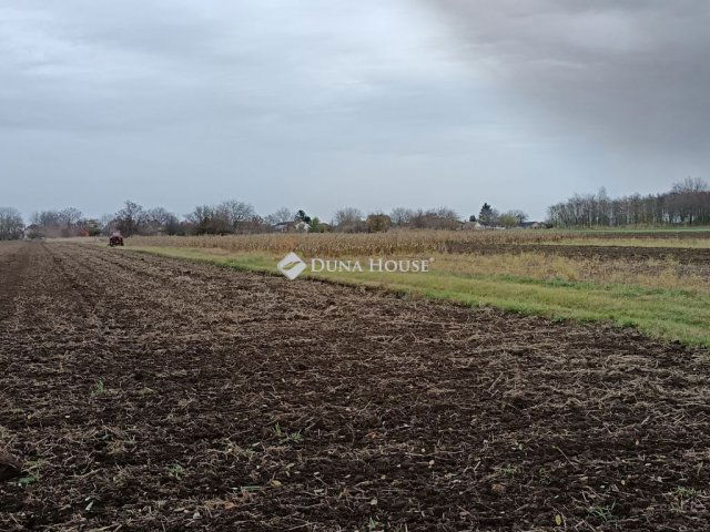 Eladó telek, Balatonszabadiban 22 M Ft / költözzbe.hu