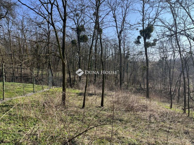 Eladó telek, Bocföldén 1 M Ft / költözzbe.hu
