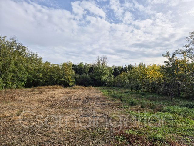 Eladó családi ház, Szanyon 37 M Ft, 3 szobás