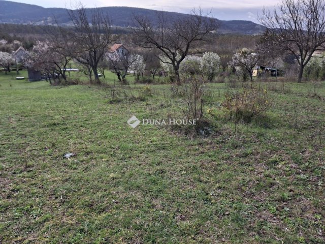 Eladó családi ház, Csákváron 39 M Ft, 5 szobás