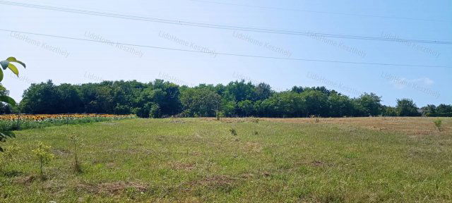 Eladó mezogazdasagi ingatlan, Felsőpáhokon 1.5 M Ft