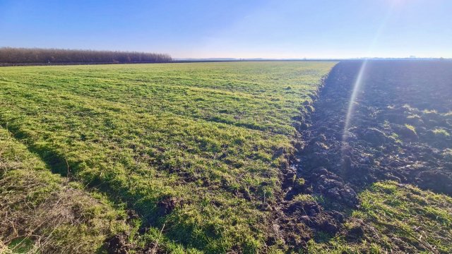 Eladó mezogazdasagi ingatlan, Szolnokon 4 M Ft