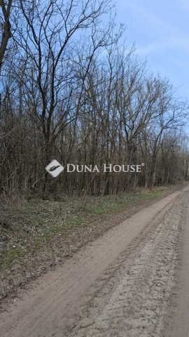 Eladó mezogazdasagi ingatlan, Kunszentmiklóson 15 M Ft