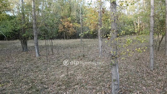 Eladó mezogazdasagi ingatlan, Pusztamérgesen 11.5 M Ft