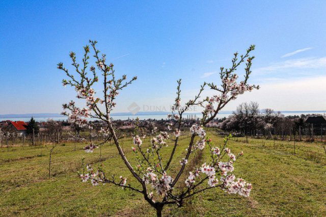 Eladó telek, Balatonakaliban 119 M Ft / költözzbe.hu