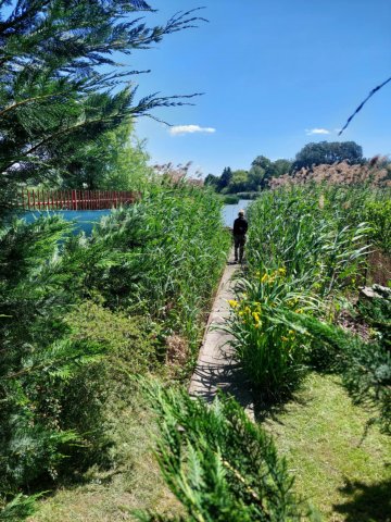 Eladó telek, Szigetszentmiklóson, Virág közben 49.8 M Ft