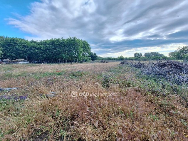 Eladó telek, Tiszakécskén 3.5 M Ft / költözzbe.hu