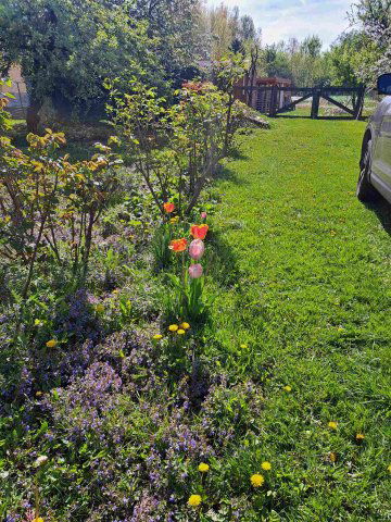 Eladó telek, Rábapordányon 7.5 M Ft / költözzbe.hu