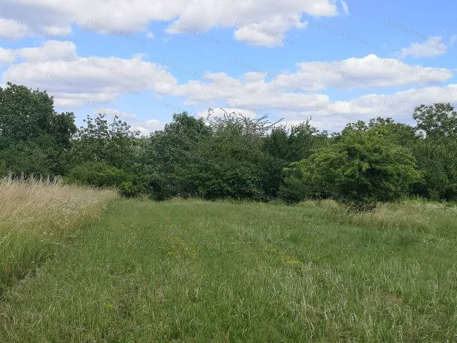 Eladó mezogazdasagi ingatlan, Igalon 3.7 M Ft