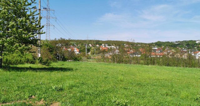 Eladó telek, Budakeszin 115 M Ft / költözzbe.hu