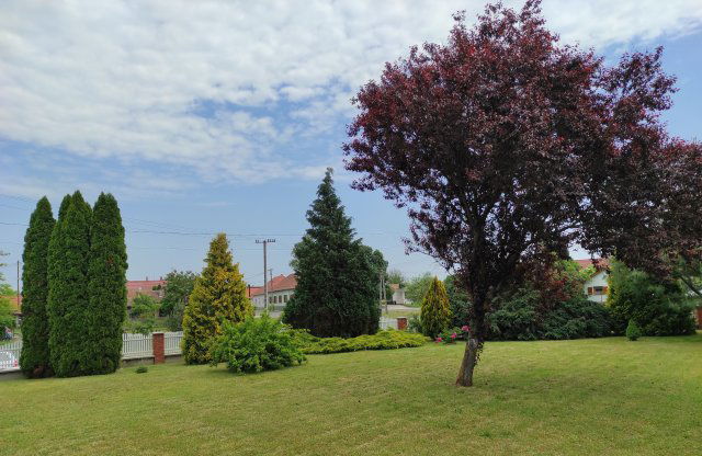 Eladó családi ház, Csesztregen 55 M Ft, 2 szobás