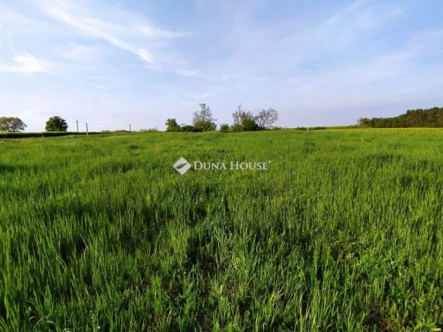 Eladó telek, Gombán 27.9 M Ft / költözzbe.hu