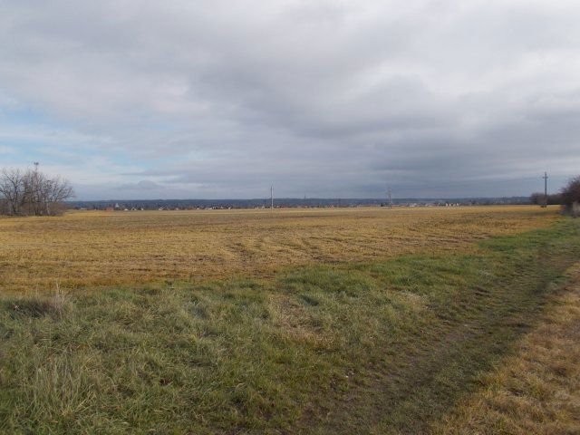 Eladó mezogazdasagi ingatlan, Berhidán 82 M Ft