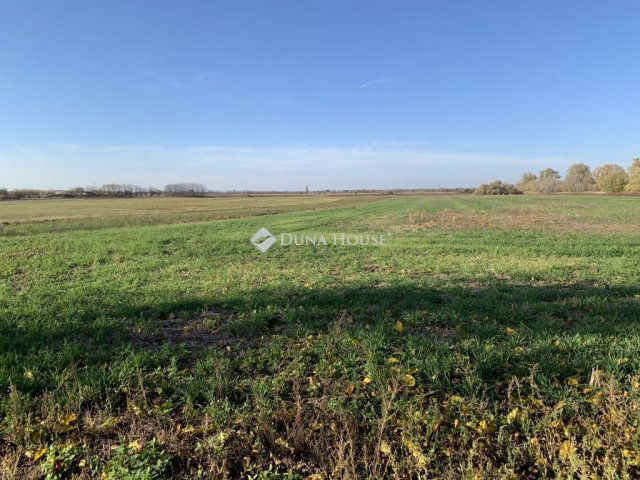 Eladó telek, Sárszentágotán 19.5 M Ft / költözzbe.hu