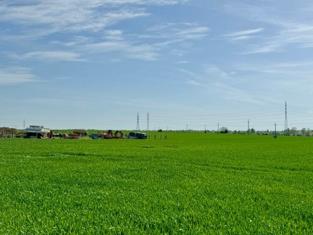 Eladó telek, Kesztölcön 11 M Ft / költözzbe.hu