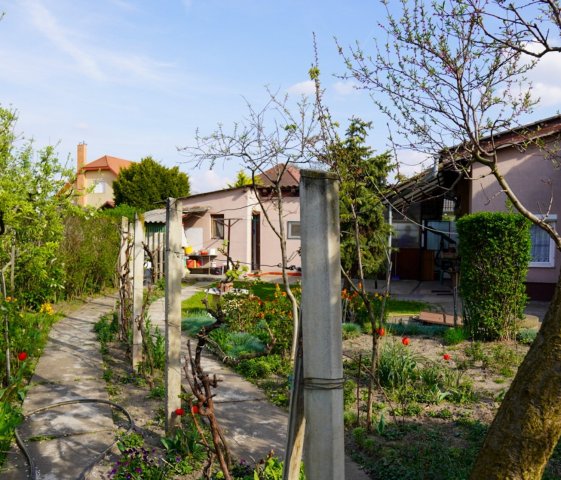 Eladó családi ház, Szigethalmon 72.9 M Ft, 3 szobás