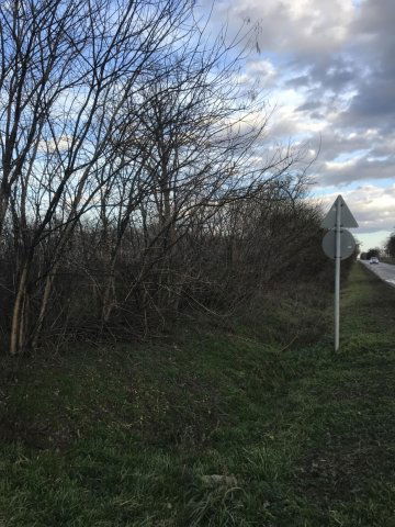 Eladó mezogazdasagi ingatlan, Szentesen 0.7 M Ft