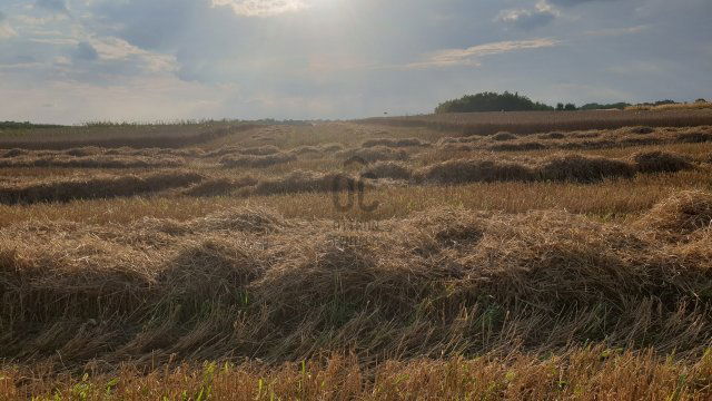 Eladó mezogazdasagi ingatlan, Kisunyomon 39.9 M Ft