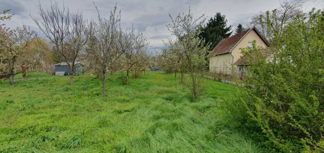 Eladó mezogazdasagi ingatlan, Békéscsabán 3.9 M Ft