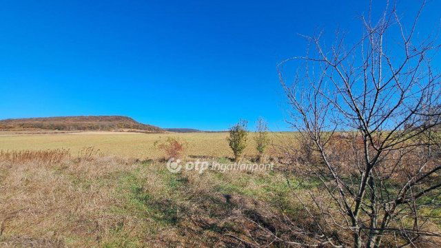 Eladó telek, Pilisborosjenőn 170 M Ft / költözzbe.hu