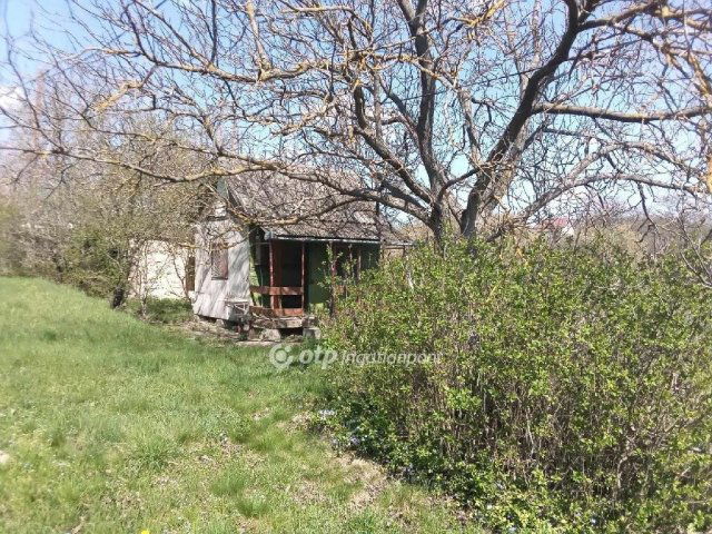 Eladó mezogazdasagi ingatlan, Balatonfőkajáron 14.5 M Ft