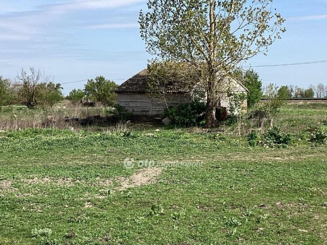 Eladó mezogazdasagi ingatlan, Gyomaendrődön 62.7 M Ft
