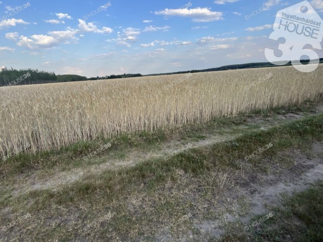 Eladó telek, Csemőn 6.5 M Ft / költözzbe.hu