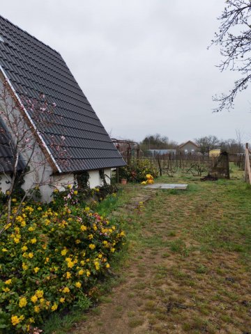 Eladó telek, Albertirsán 16.5 M Ft / költözzbe.hu