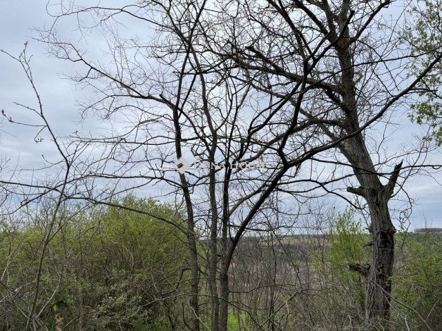 Eladó telek, Bagon 5 M Ft / költözzbe.hu