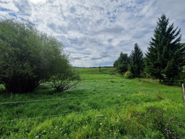 Eladó telek, Bakonybélben 33 M Ft / költözzbe.hu