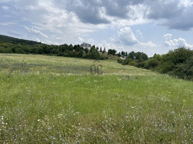 Eladó telek, Budajenőn 684 M Ft / költözzbe.hu
