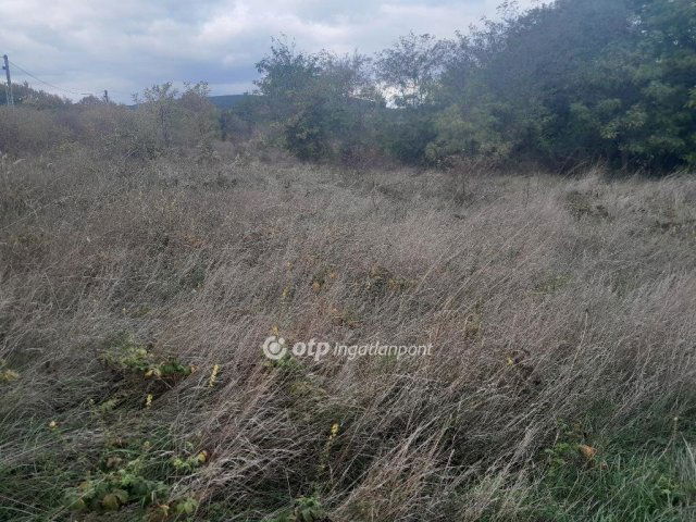 Eladó telek, Száron 20 M Ft / költözzbe.hu