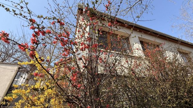 Eladó családi ház, Győrött 149.9 M Ft, 6 szobás