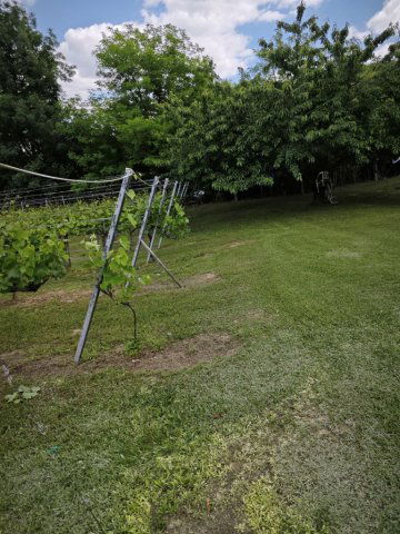 Eladó mezogazdasagi ingatlan, Szekszárdon 3 M Ft