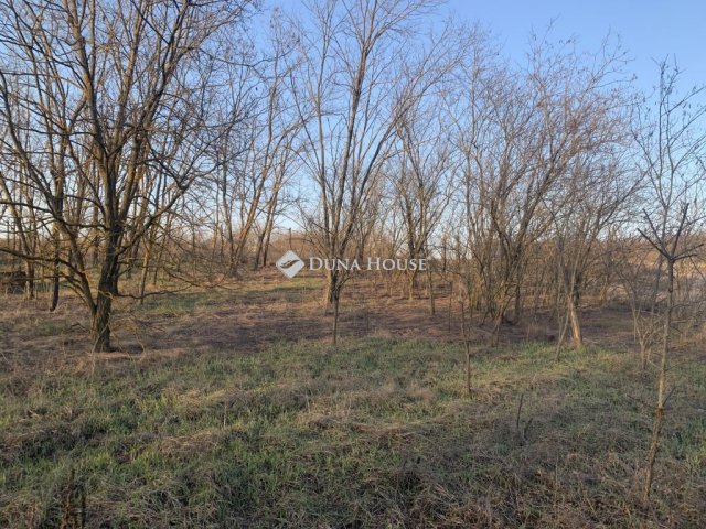 Eladó telek, Őrbottyánban 6.2 M Ft / költözzbe.hu