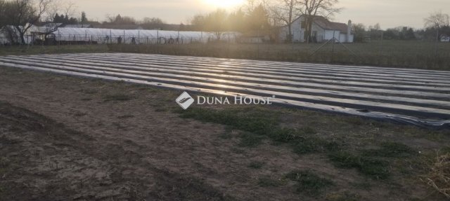 Eladó telek, Kecskeméten 50.9 M Ft / költözzbe.hu