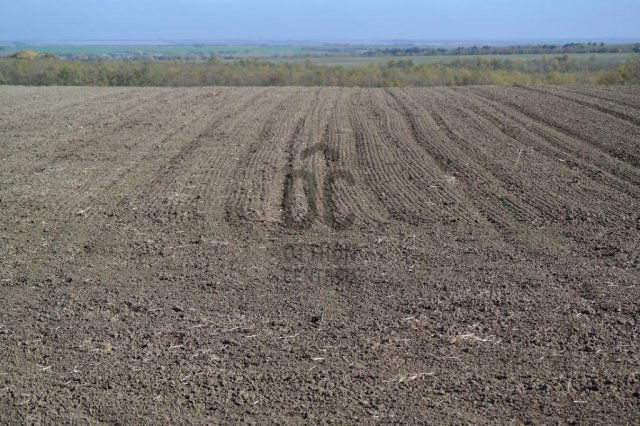 Eladó mezogazdasagi ingatlan, Siófokon 18 M Ft