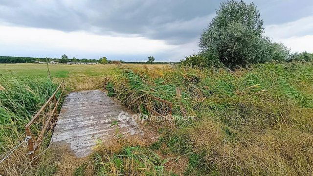 Eladó mezogazdasagi ingatlan, Tóalmáson 230 M Ft