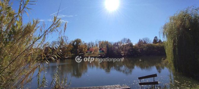 Eladó mezogazdasagi ingatlan, Mezőtúron 54 M Ft